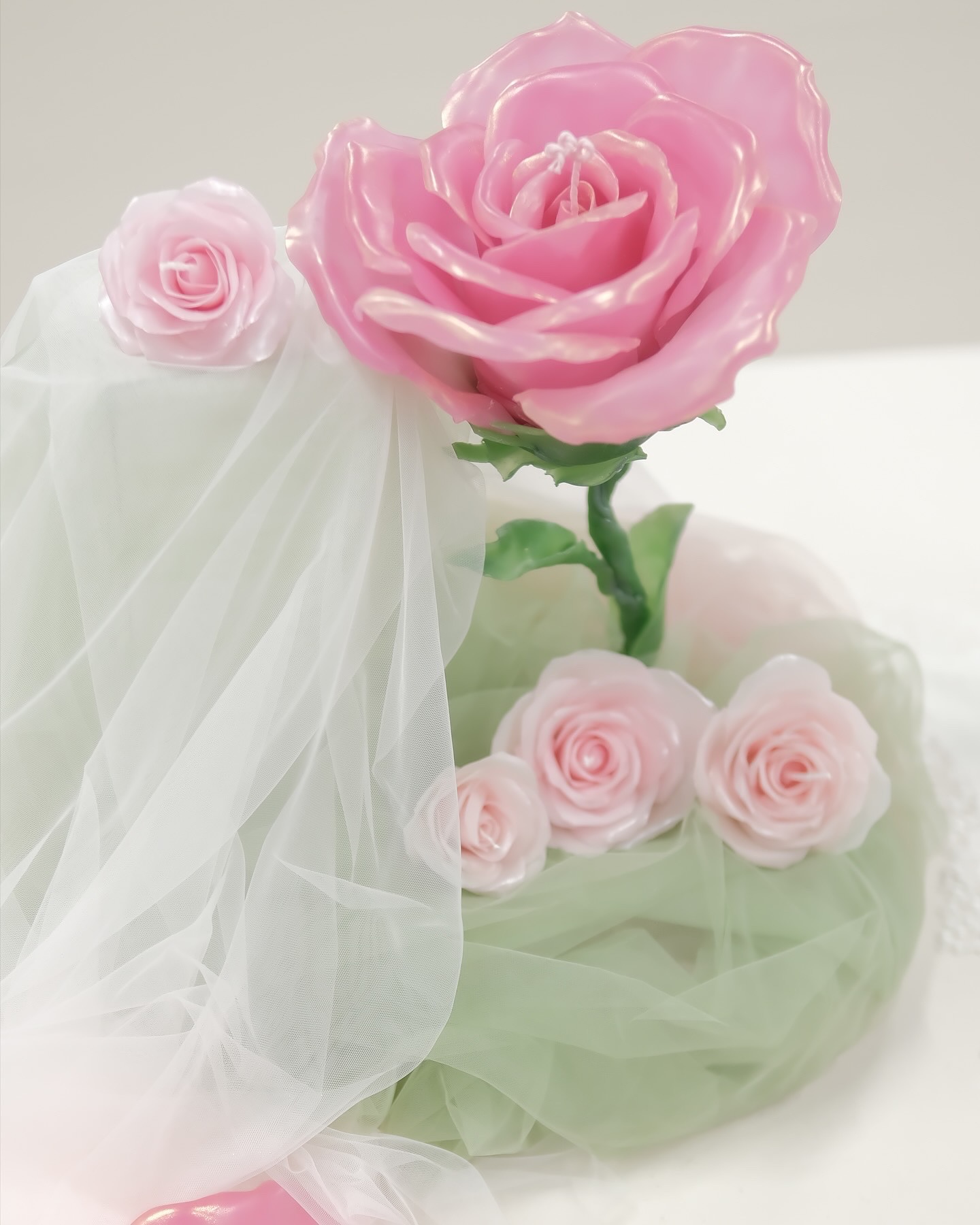 JCAA 2024 入圍作品 煌めく薔薇